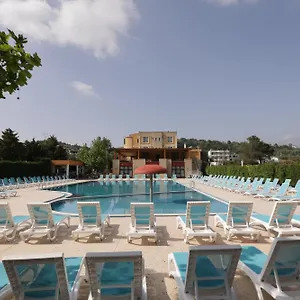 Mema Tirana